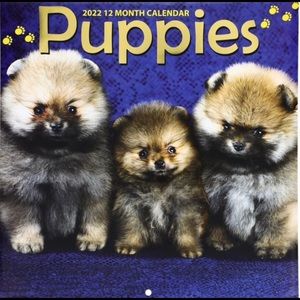 New 2022 12 Month Puppies calendar.  FREE SHIPPING